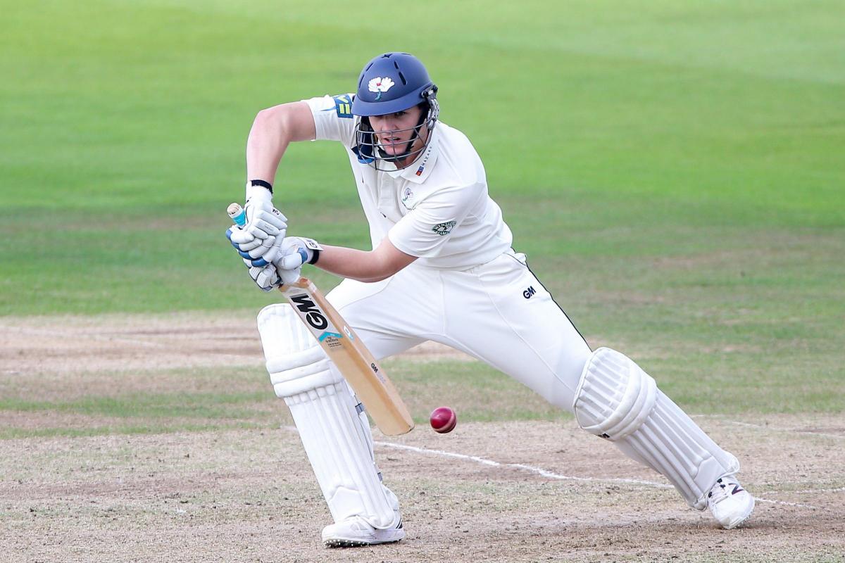 Lees Lashes Double-Hundred for Hoylandswaine - Match Day 7 Review