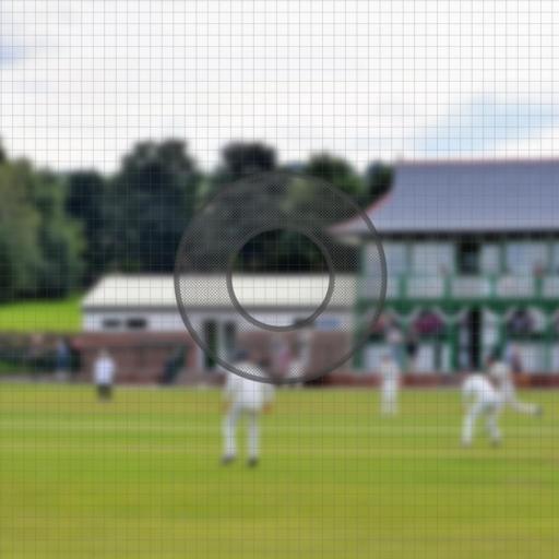 cricket-photography.jpg