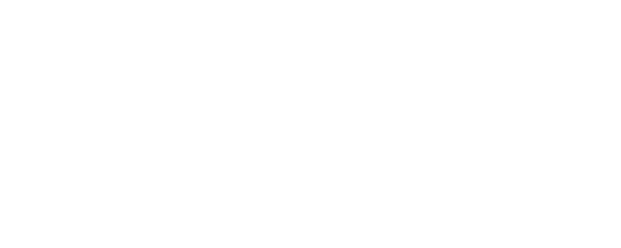North-Light-logo_mono_v2.png
