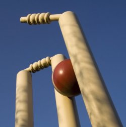 cricket_stumps